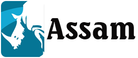 Assam Tour Package - Logo